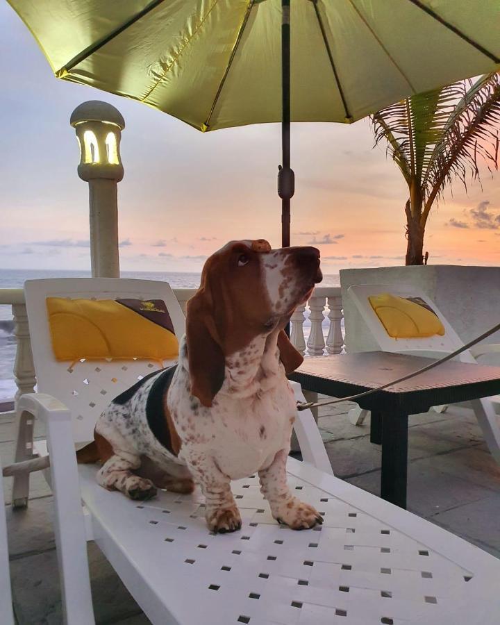 Hotel La Casona Beach El Guayabo Екстериор снимка